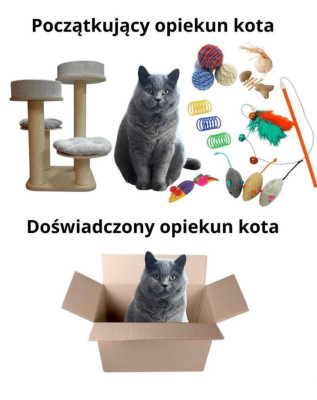 FB_IMG_1771239171273.jpg (46.47 KiB) Przejrzano 29 razy FB_IMG_1771239171273.jpg